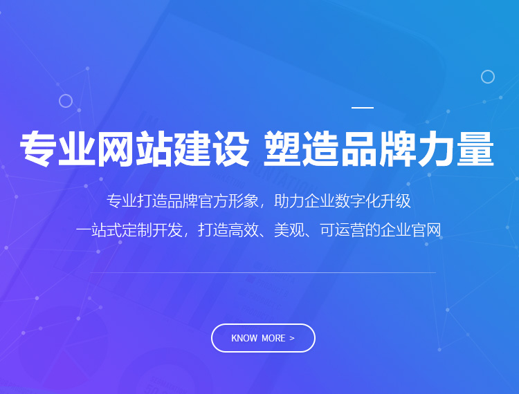 阜康建站-专业网站建设 塑造品牌力量